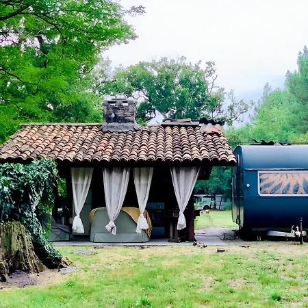 Into The Wild - Nos 5 Logements 