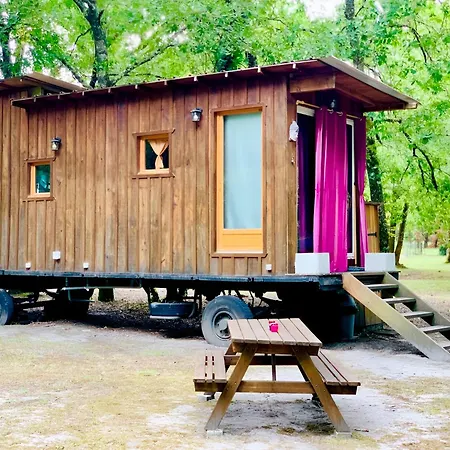 Into The Wild - Nos 5 Logements 