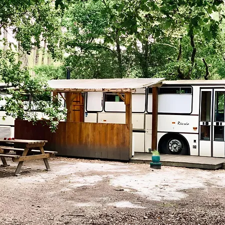 Into The Wild - Nos 5 Logements 