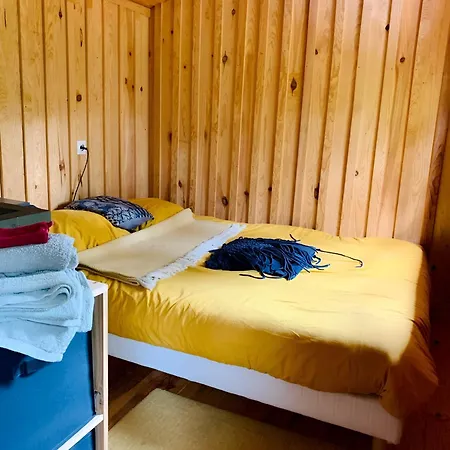 Into The Wild - Nos 5 Logements 
