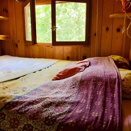 Into The Wild - Nos 5 Logements 