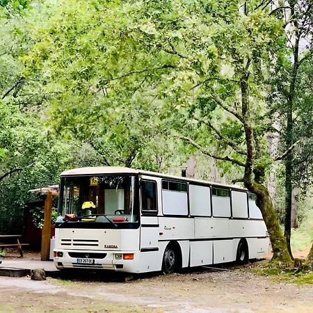 Into The Wild - Nos 5 Logements 