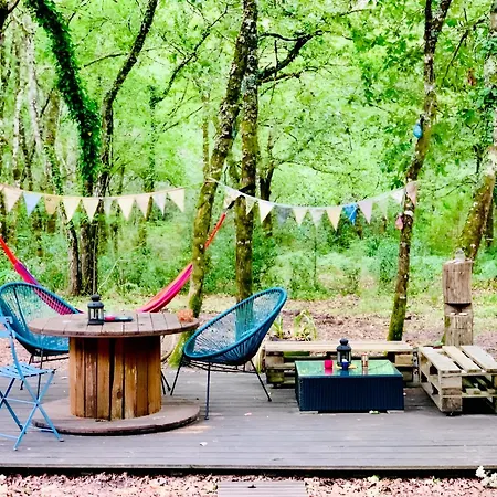 Into The Wild - Nos 5 Logements 