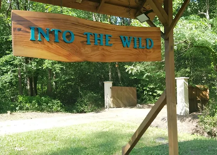 Into The Wild - Nos 5 Logements \