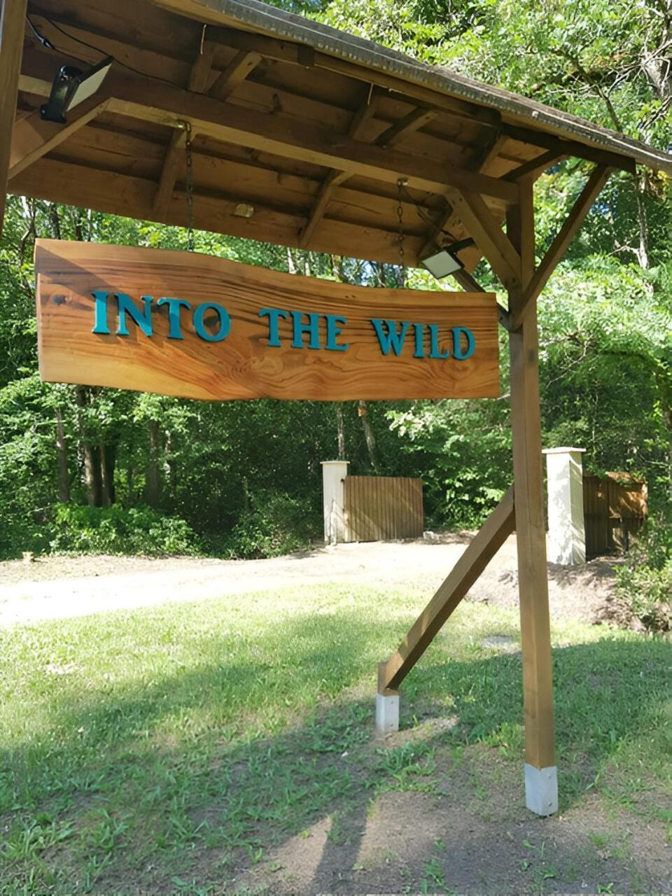 Into The Wild - Nos 5 