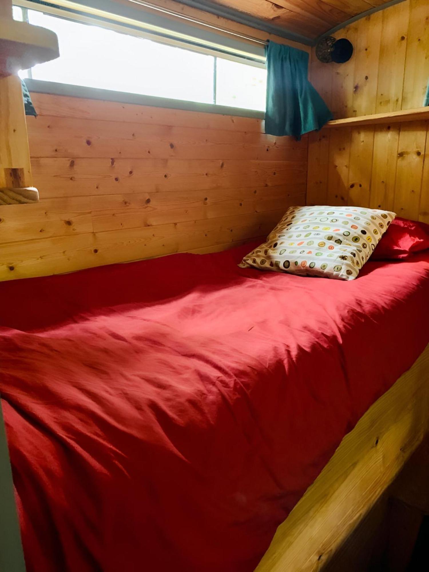 Apartment Into The Wild - Nos 5 