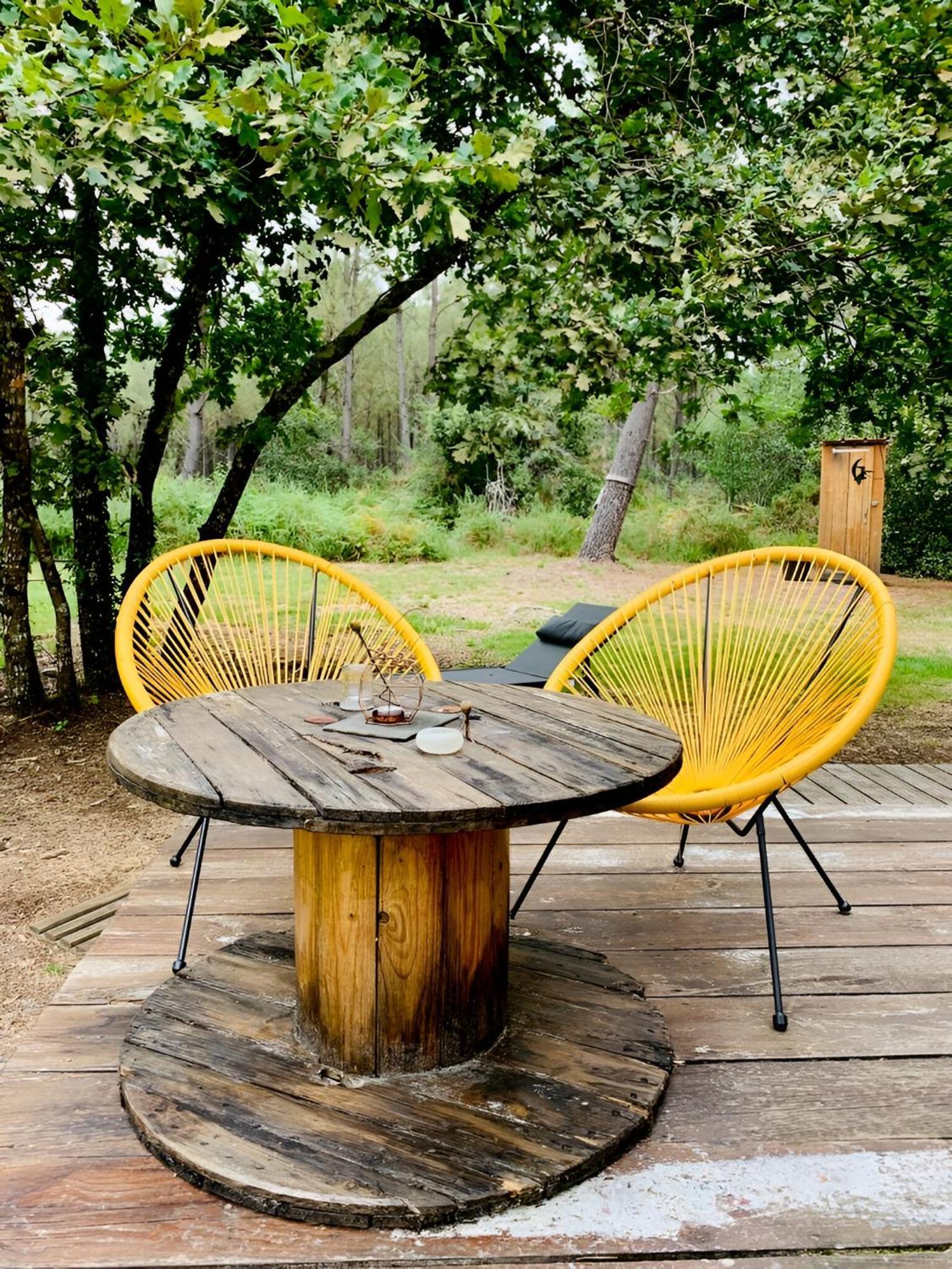 Apartment Into The Wild - Nos 5 