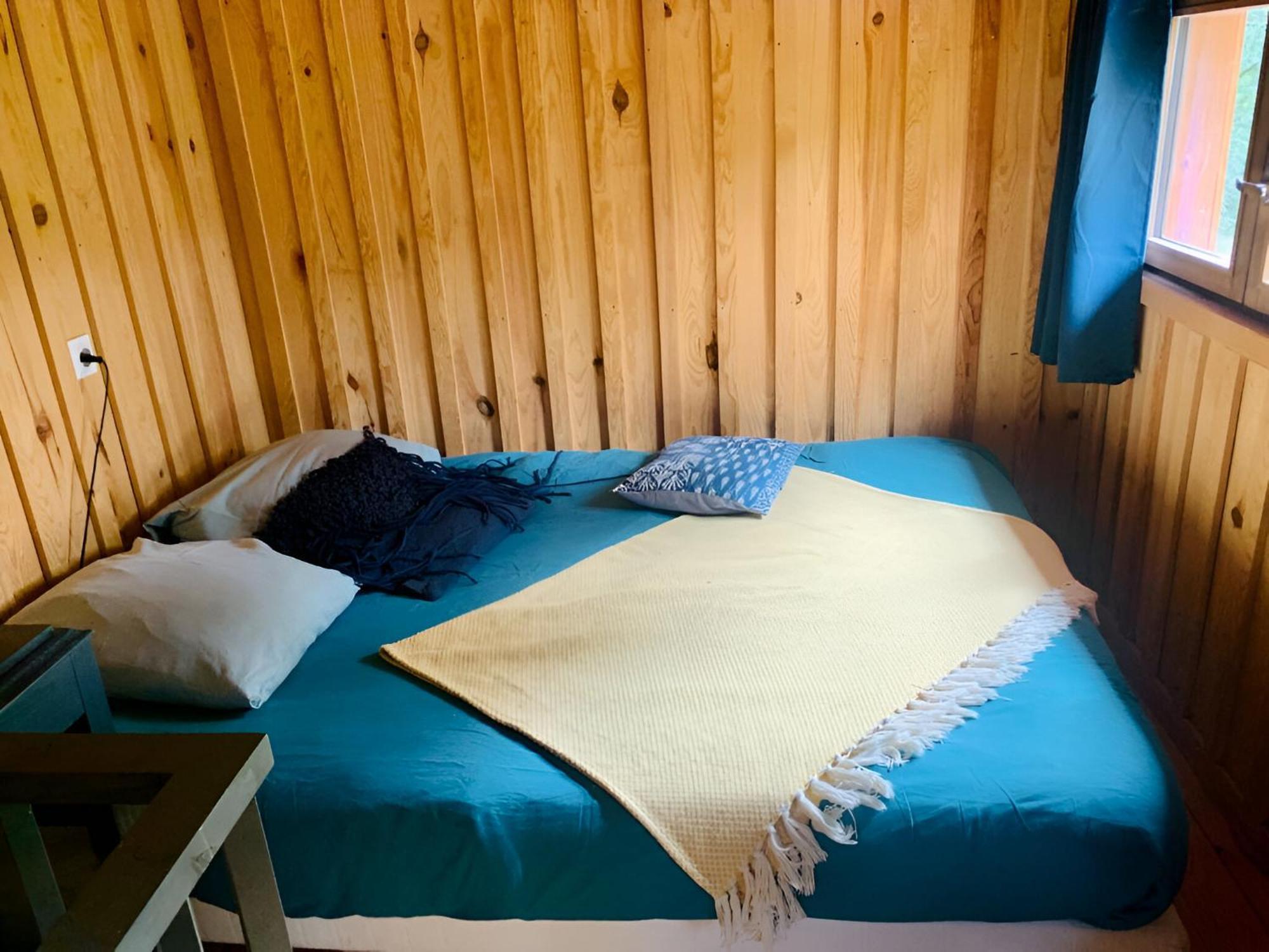 Apartment Into The Wild - Nos 5 