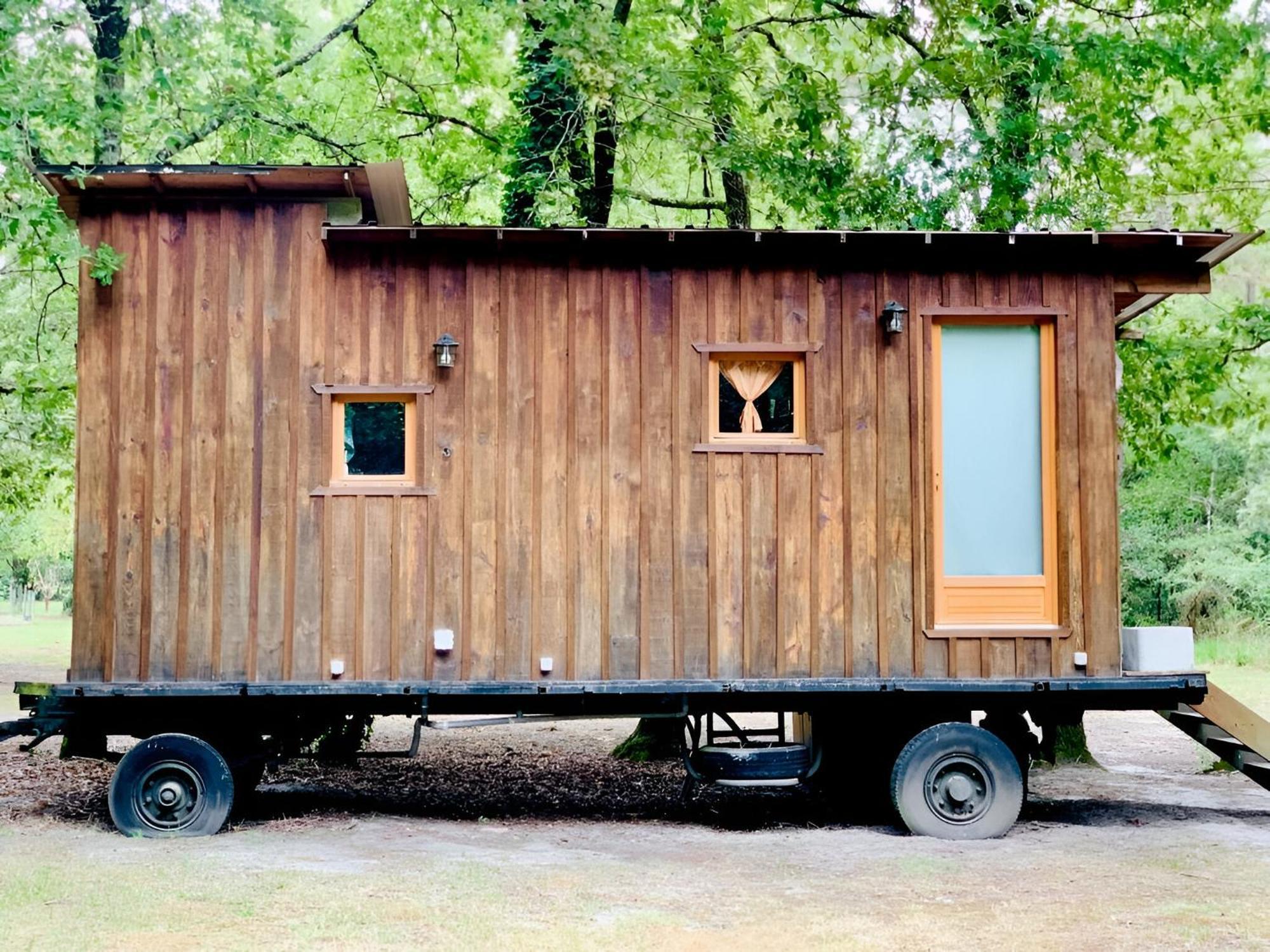 Apartment Into The Wild - Nos 5 